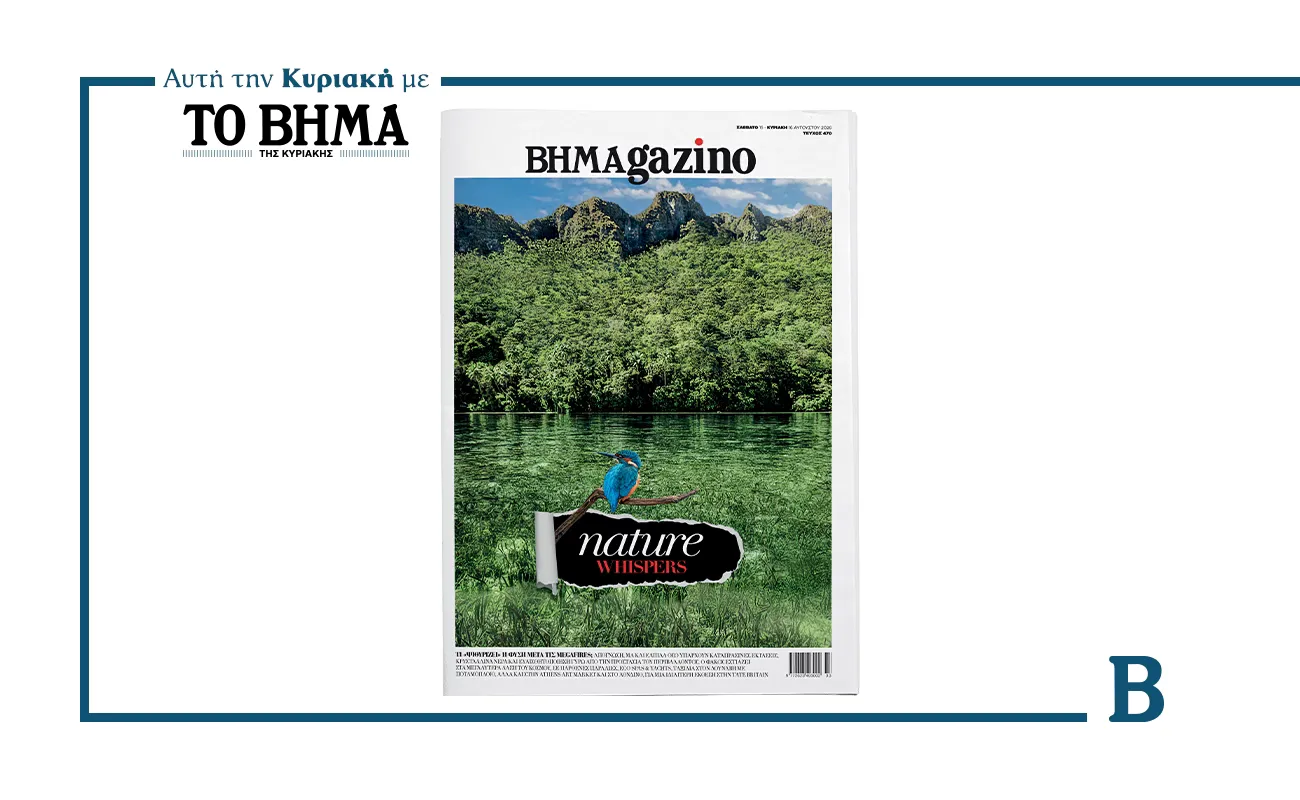 BHMAGAZINO : Un hommage à la nature post-incendies dévastateurs