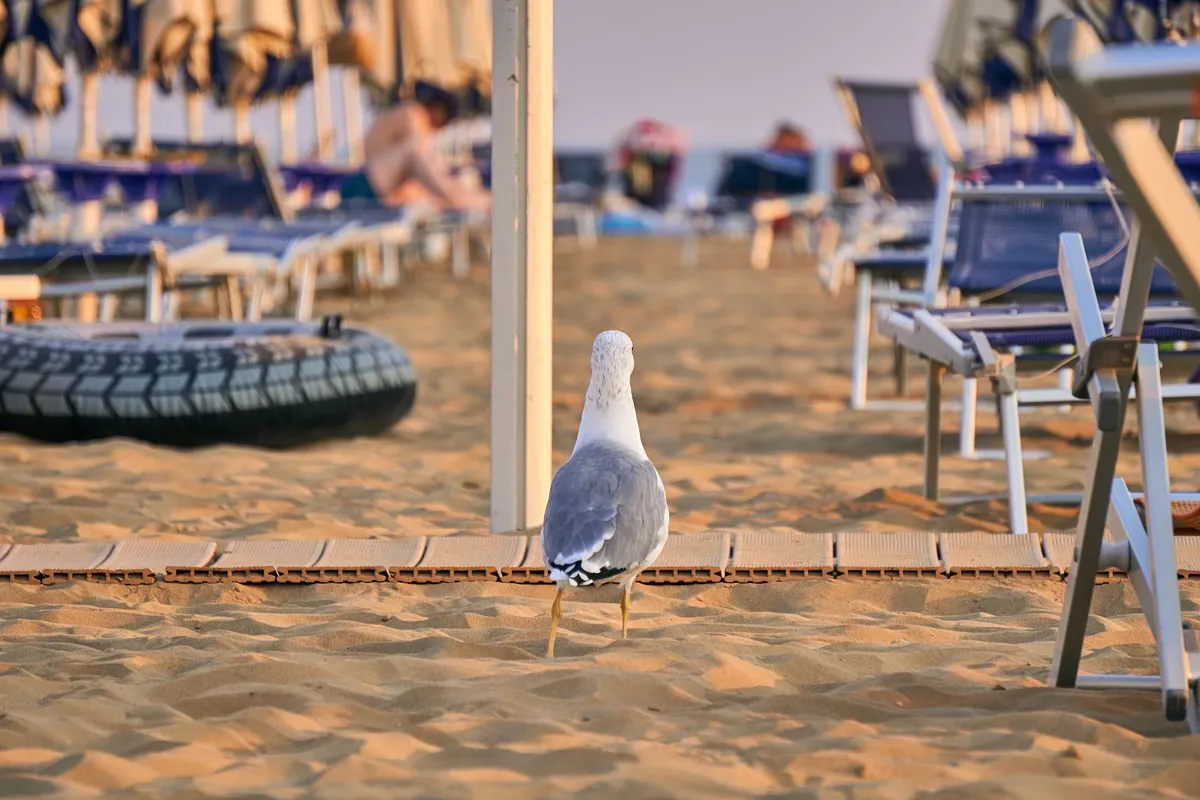 Le programme «&nbsp;Tourisme pour tous&nbsp;» : Conditions d'éligibilité et montants des aides en France
