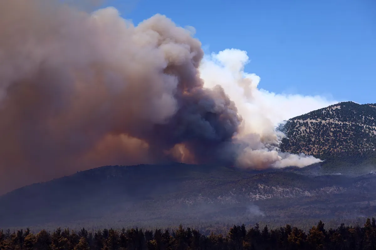 Impact des fumées d'incendie : Précautions pour les populations vulnérables
