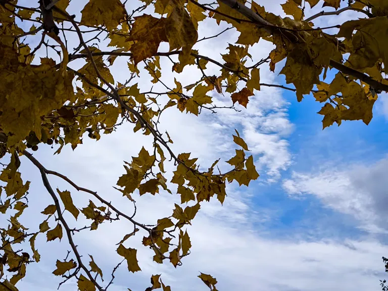 Météo Grèce 20 octobre 2026 : ciel dégagé et hausse des températures