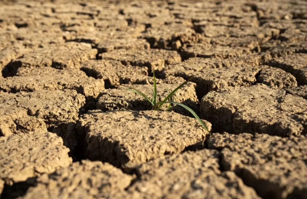 El Niño : le Salvador lance un plan d'urgence alimentaire