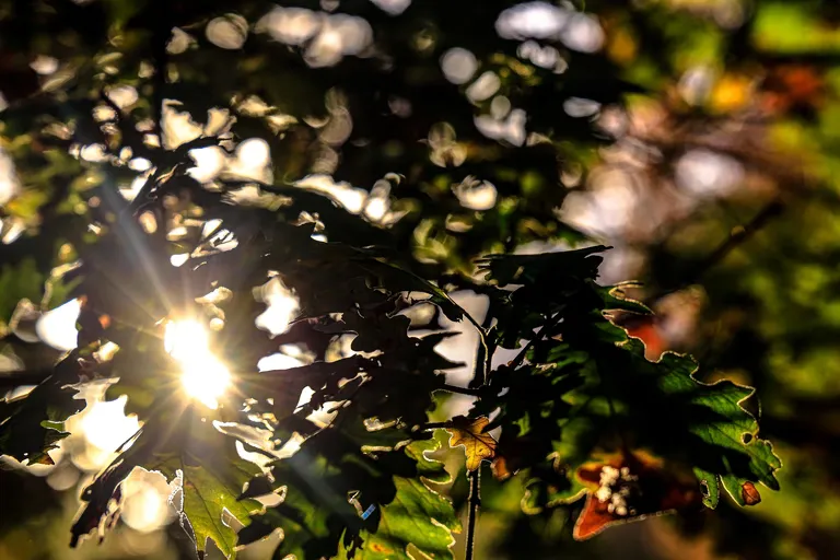 Météo Grèce 19 octobre 2026 : beau temps et hausse thermique