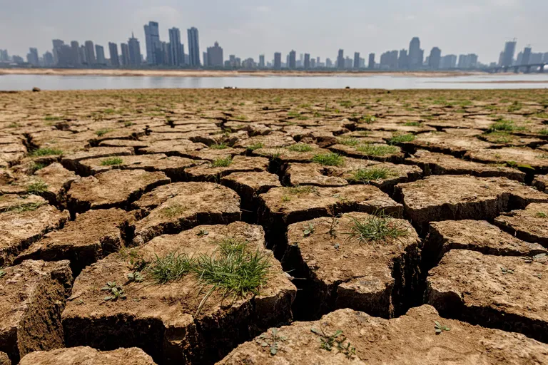 Urgence sanitaire climatique : le cri d'alarme du Lancet