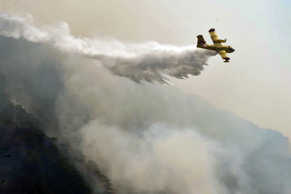 Incendie à Kalavryta : forces terrestres et aériennes mobilisées à Petsakoi