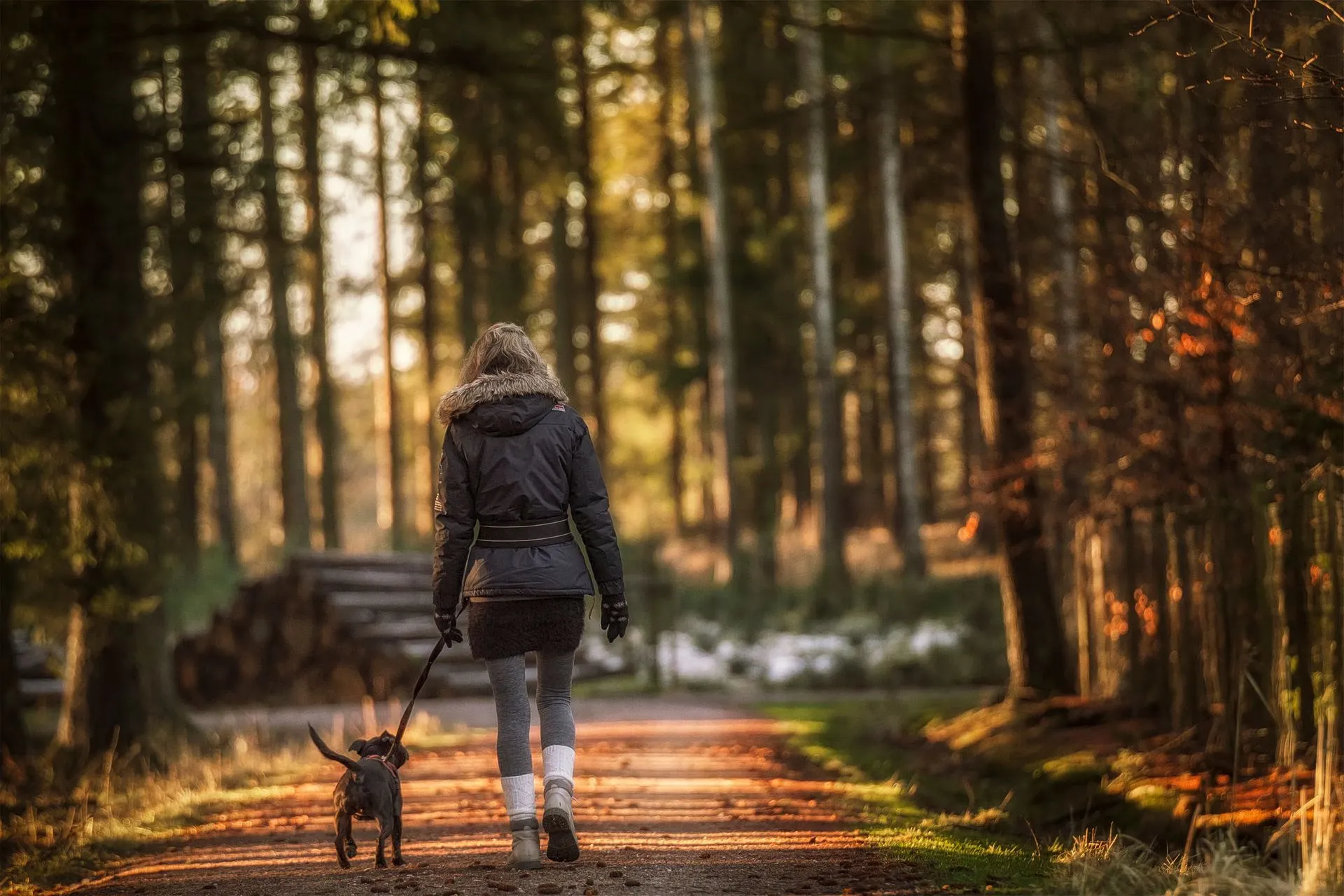 Pourquoi votre cadence de marche compte autant que vos pas