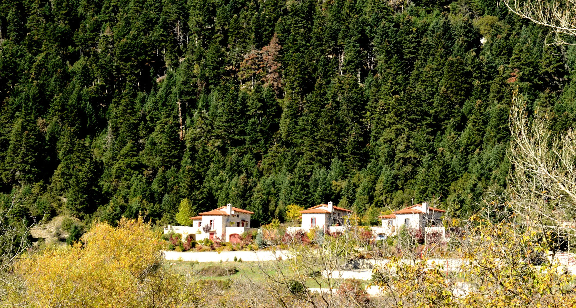 Propriétés forestières en Grèce : comment corriger l'erreur ?
