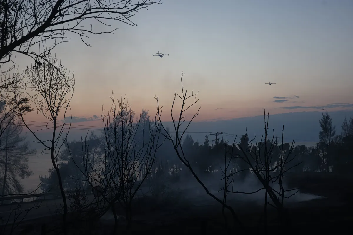 Chalcidique : 2 480 hectares ravagés par l'incendie de Siviri, selon Copernicus