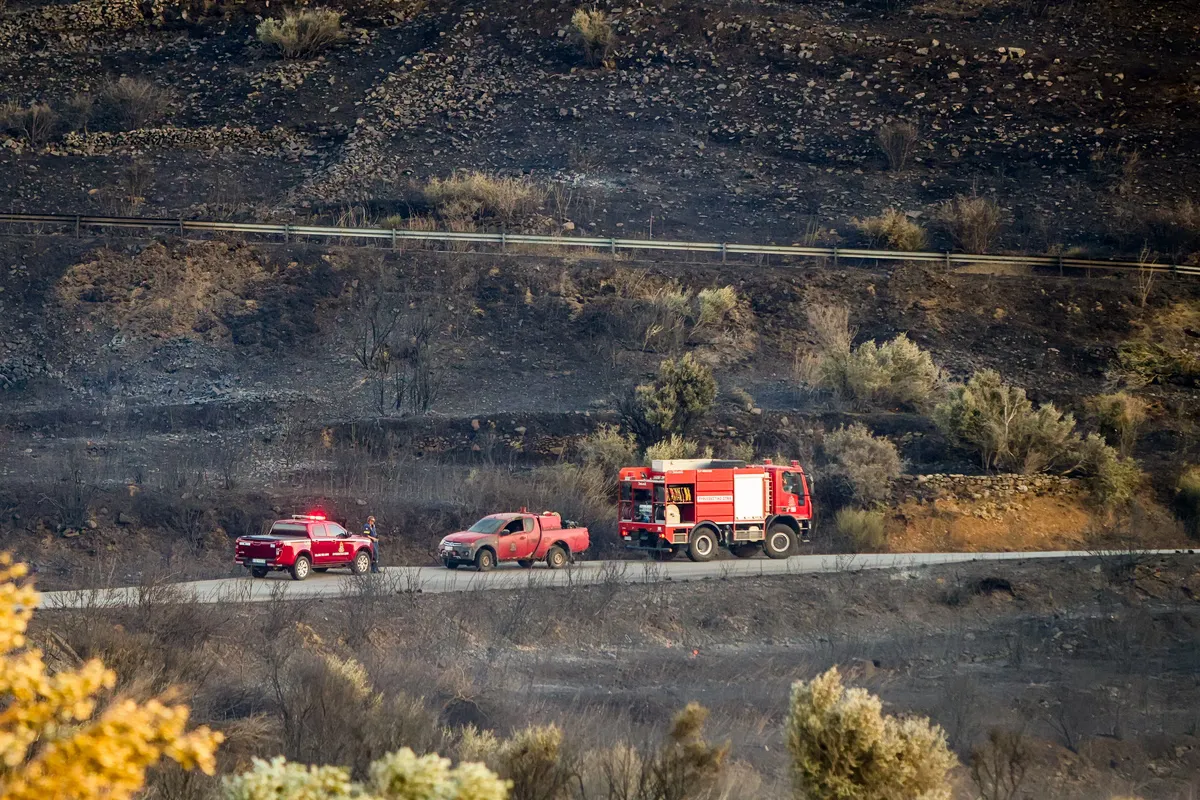 Tragédie nationale : La Grèce pleure la perte de trois pompiers dans les incendies