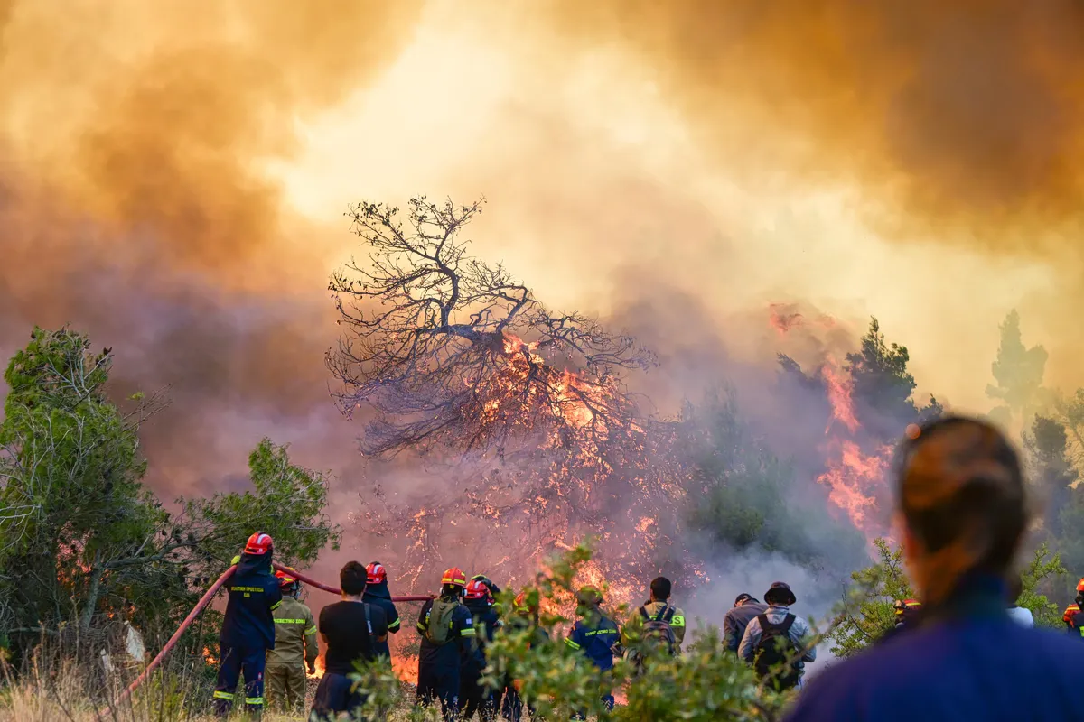 Vagues de chaleur et incendies en Europe du Sud : l'UE face à une crise persistante