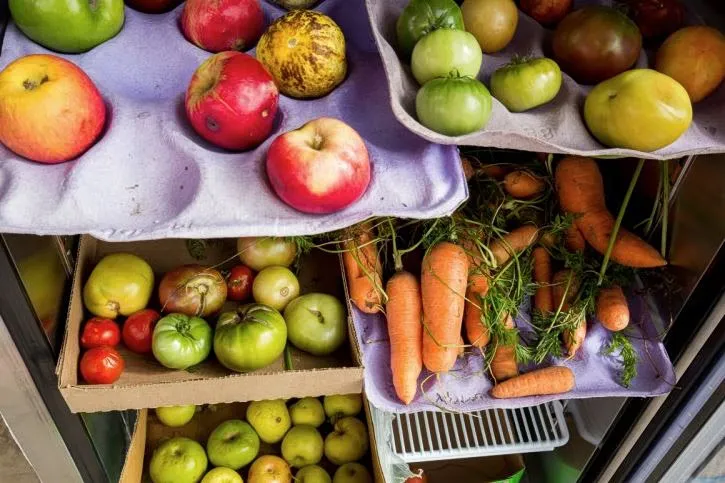 Gaspillage alimentaire Europe 2024 : réduire les pertes