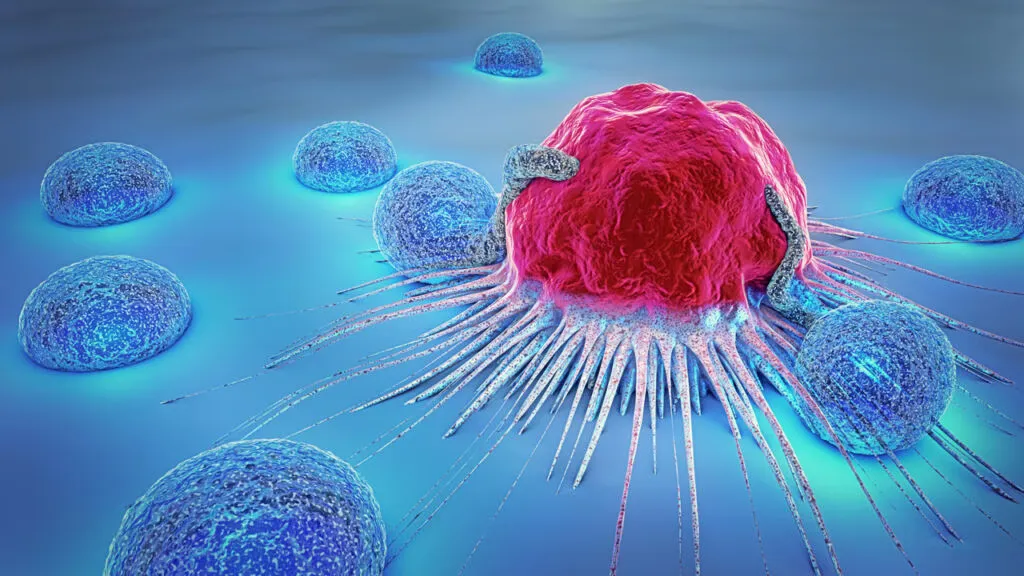 Un Plan National de Lutte contre le Cancer en Dix Mois : Une Nouvelle Stratégie Anticoncerneuse en Préparation