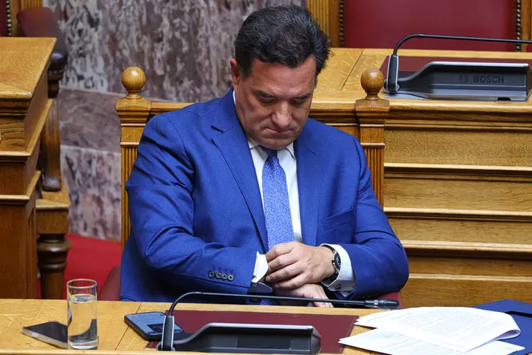 Adonis Georgiadis : l'enthousiasme politique à Ioannina en 2026